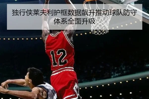 独行侠莱夫利护框数据飙升推动球队防守体系全面升级